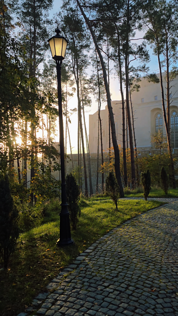 00_50_51_17.Still006